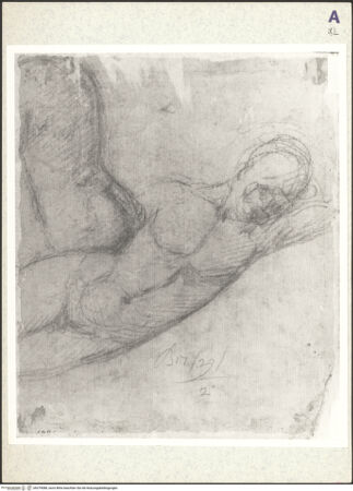 Vorderseite von bh379088_recto