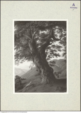 Vorderseite von bh379192_recto