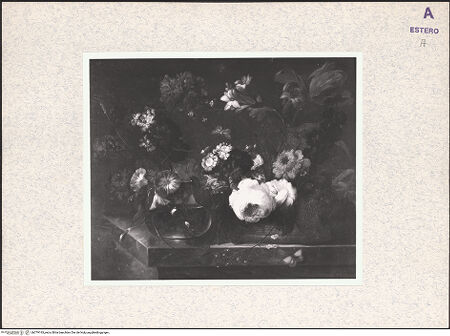 Vorderseite von bh379193_recto