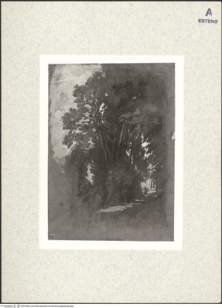 Vorderseite von bh379409_recto