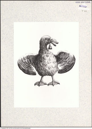 Vorderseite von bh379549_recto