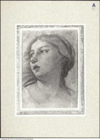 Vorderseite von bh379552_recto