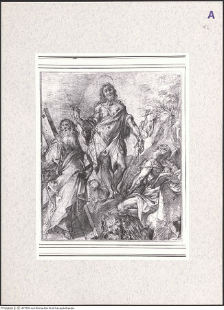 Vorderseite von bh379584_recto