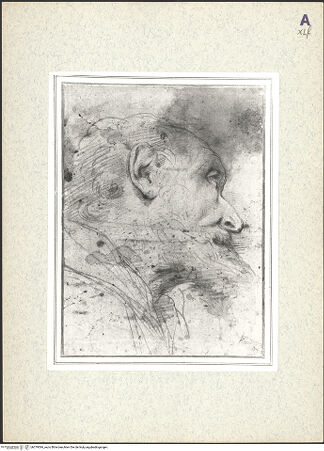 Vorderseite von bh379594_recto