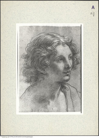 Vorderseite von bh379598_recto