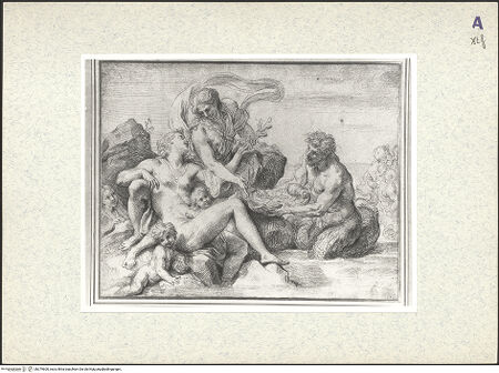 Vorderseite von bh379600_recto