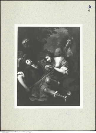 Vorderseite von bh379666_recto