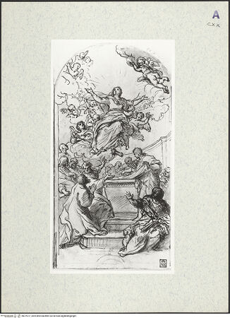 Vorderseite von bh379727_recto