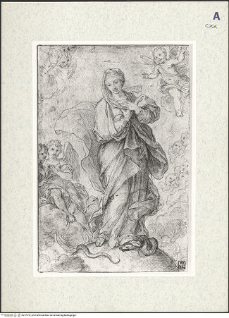 Vorderseite von bh379739_recto