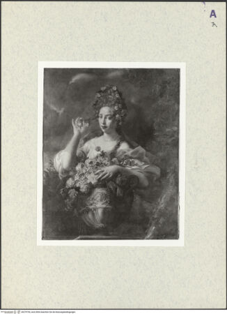 Vorderseite von bh379750_recto