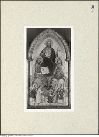 Vorderseite von bh379846_recto