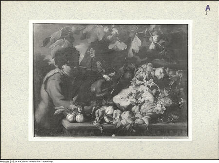 Vorderseite von bh379936_recto