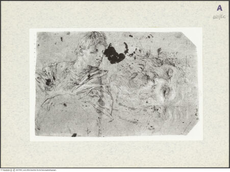 Vorderseite von bh379961_recto