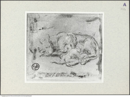 Vorderseite von bh379964_recto