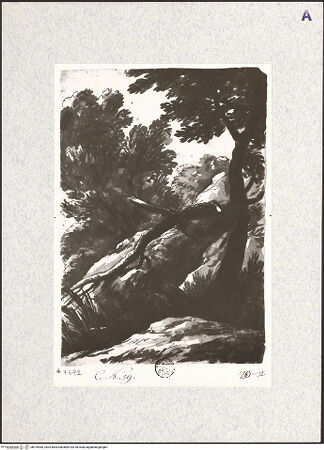 Vorderseite von bh379980_recto