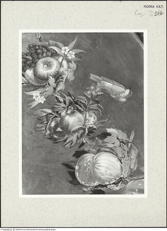 Vorderseite von bh380163_recto