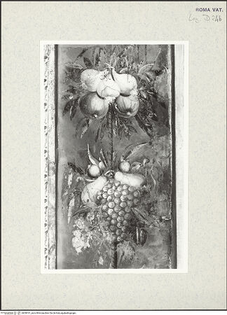 Vorderseite von bh380181_recto