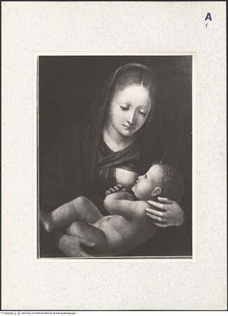 Vorderseite von bh381044_recto