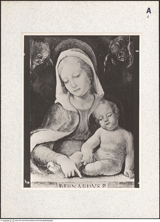 Vorderseite von bh381045_recto