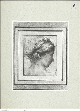 Vorderseite von bh381097_recto