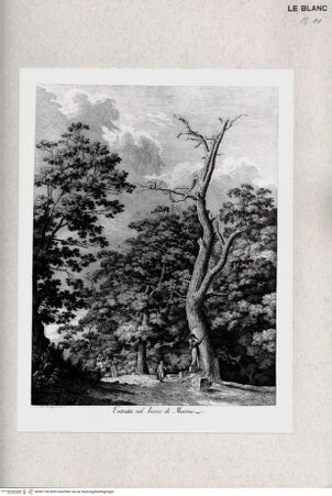 Vorderseite von bh381186