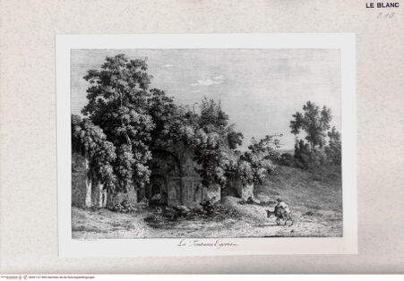 Vorderseite von bh381197