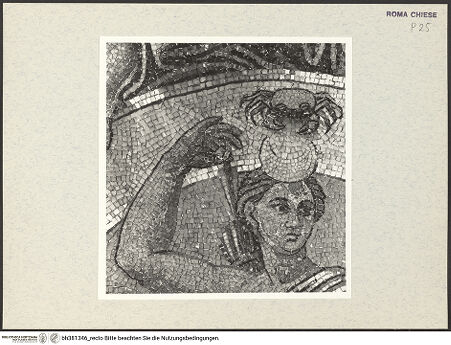 Vorderseite von bh381346_recto