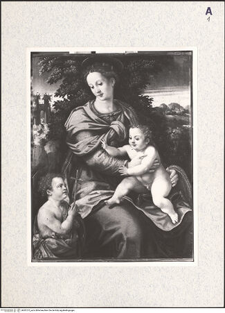 Vorderseite von bh381373_recto