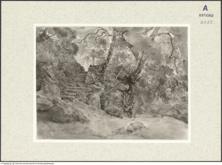 Vorderseite von Staatliche Kunsthalle [https://www.deutsche-digitale-bibliothek.de/content/lizenzen/rv-fz/] Aus dem Park der Villa Chigi in Ariccia - , bh381434_recto. Foto.