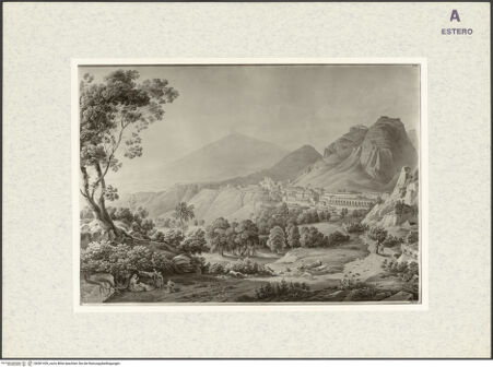 Vorderseite von bh381439_recto