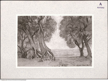 Vorderseite von bh381463_recto