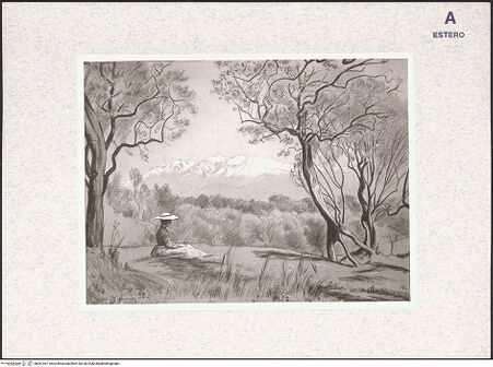 Vorderseite von bh381467_recto