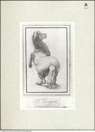 Vorderseite von bh381496_recto