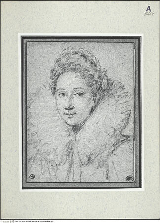 Vorderseite von bh381524_recto