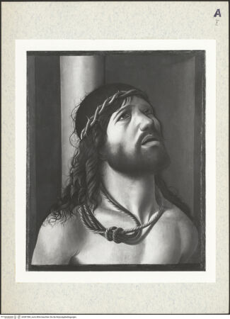 Vorderseite von bh381584_recto