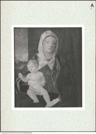 Vorderseite von bh381903_recto