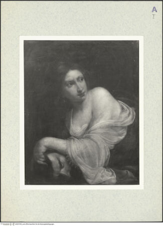 Vorderseite von bh381909_recto