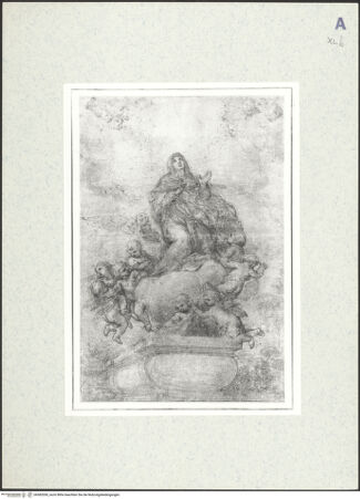 Vorderseite von bh382050_recto