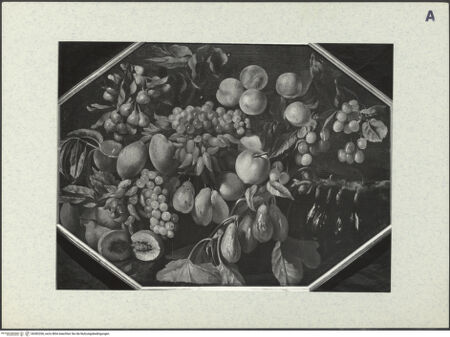 Vorderseite von bh382206_recto