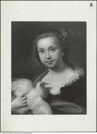 Vorderseite von bh382215_recto