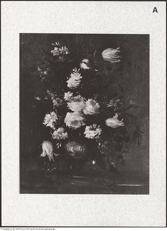 Vorderseite von bh382222_recto