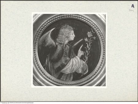 Vorderseite von bh382295_recto