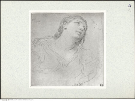 Vorderseite von bh382354_recto