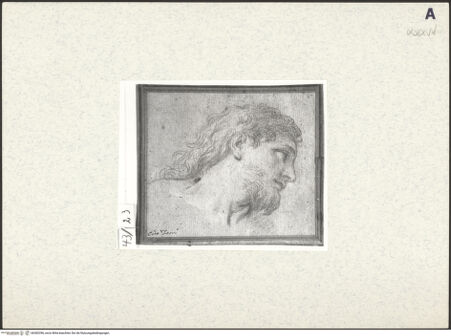 Vorderseite von bh382396_recto