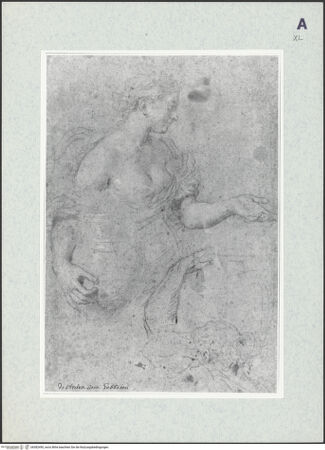 Vorderseite von bh382490_recto