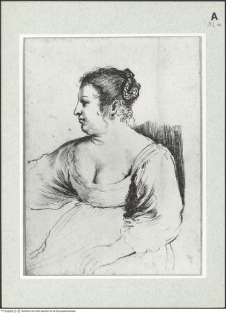 Vorderseite von bh382502_recto