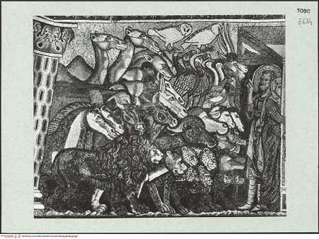 Vorderseite von bh382565_recto