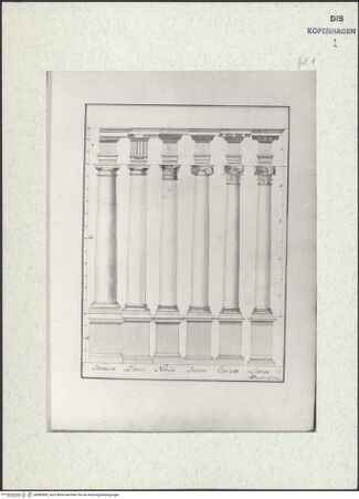 Vorderseite von bh382685_recto