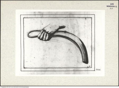 Vorderseite von bh383120_recto
