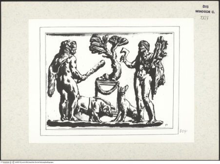 Vorderseite von bh383143_recto